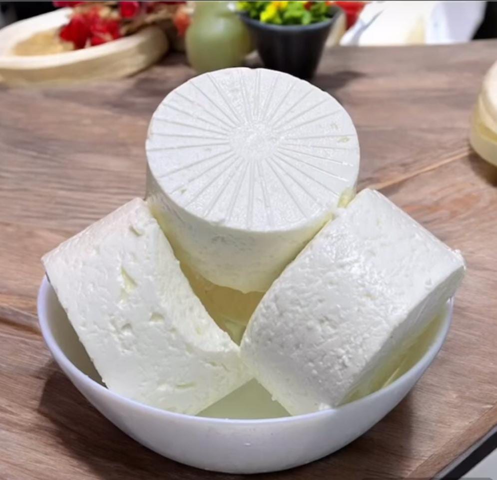 الألبان
